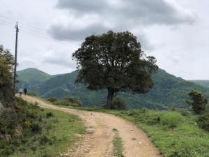 Villas Villa Vallee Heureuse : photos des chambres
