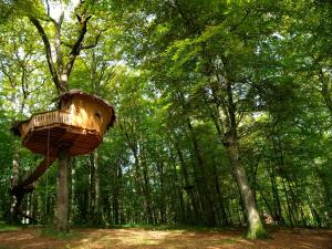 Sejours a la campagne L'Arbre a Cabane : photos des chambres