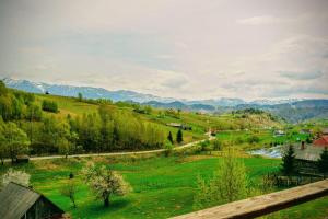 MonteCrai