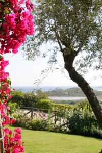 Villa Myrtos - 300mt dal mare img2