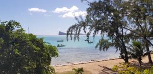 Allamanda Apartments - 100m Bain Boeuf Beach