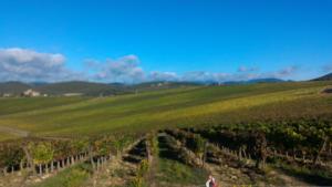 Il Pozzo Della Citerna