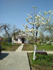 Pension Agrousadba Y Marini Sloboda Weissrussland