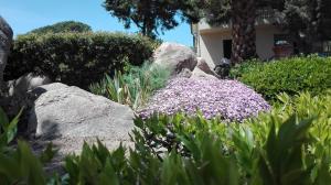 B&b Giglio di Mare img55