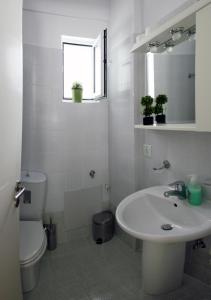 Lalezas Studios