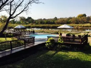 Sabie River Bush Lodge - Timbavati Game Reserve