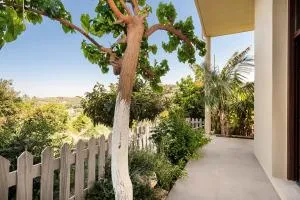 Filio House - Troúlous