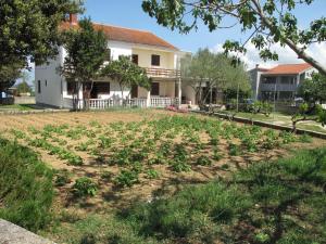 Apartment Dede