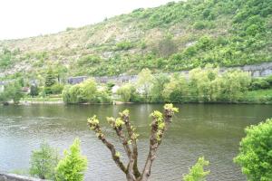 Joly photo 9