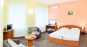 Standard Double Room room in Family Hotel Varna