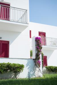 Ostria Hotel & Apartments Andros Greece