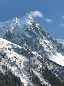 Appart'hotels Appart'Hotel Aiguille Verte & Spa : photos des chambres