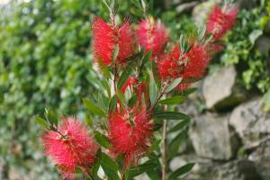 Galpon Boutique Aldea De Abaixo