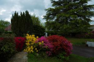 Les Landes photo 12