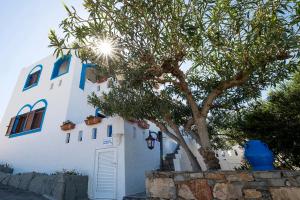 Schoner Blick Lasithi Greece