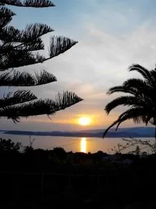 Mediterranean Studios - Lassi