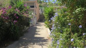 Casa con giardino sulla spiaggia img25