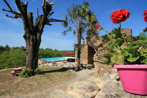 Maisons de vacances Maison Lou Peyrol avec piscine privee : photos des chambres