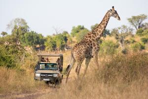 Ngama Safari Lodge, Chobe Forest Reserve, Botswana