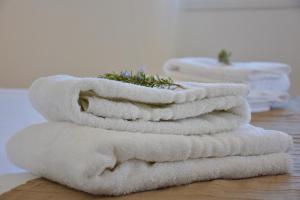 SempreViva Sea Houses