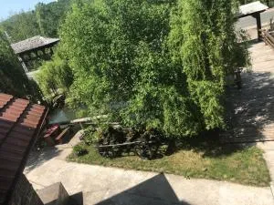 Pensiune păstrăvărie La pintea haiducu - Mara