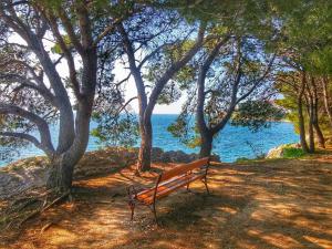 Apartments Villa Clementa