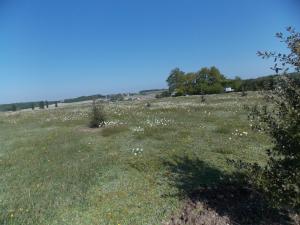 Sejours a la campagne Le Petit Breuil : photos des chambres