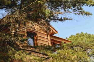 Hotels Logis Hotel Emeraude des Bois : photos des chambres