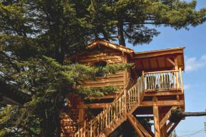 Hotels Logis Hotel Emeraude des Bois : photos des chambres