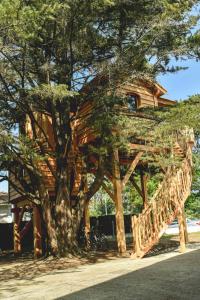 Hotels Logis Hotel Emeraude des Bois : photos des chambres