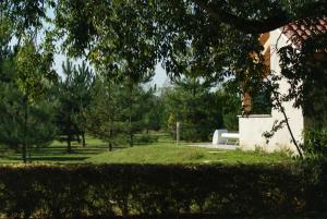 Château de Grenier photo 12