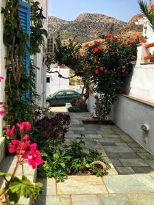 Theodora Rooms Sifnos Greece