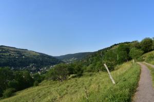 Maisons de vacances Gites de Moyenmont : photos des chambres