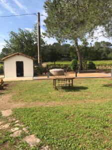 Maisons de vacances Maison Loubiere : photos des chambres