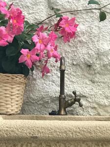 Residence Campanelle 54