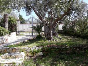 Villa Belvedere Michelle