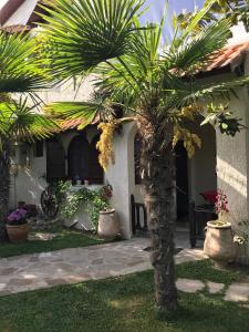 Cottage Exohiki Katoikia Paralia Katerinis Greece