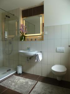 Pension Temizdemir