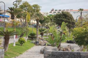 Playa la Arena apartment