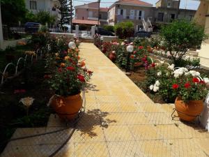 Τhe Roses House Epirus Greece
