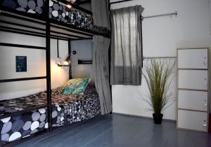 DPM Koh Tao Diving Hotel & Bar