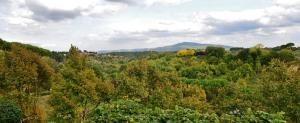 Via Borgo Giano, 13, 06062, Città della Pieve, Umbria, Italy.