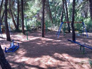 Squirrels, Home with View Halkidiki Greece