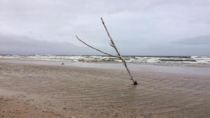 Apartamenty Pod Jesionem