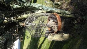 Chambre dhôte Anais