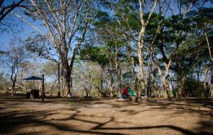 Camping Howler Monkey Farm