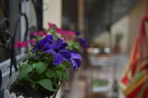 Apartment Inn old Tbilisi