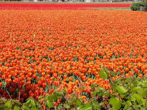 Hotel Restaurant de Engel