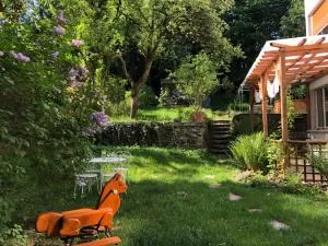 Fribauhaus - فريبورغ