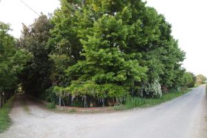 La Casa nel Bosco